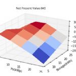 Net present value (NPV) of PV Storage